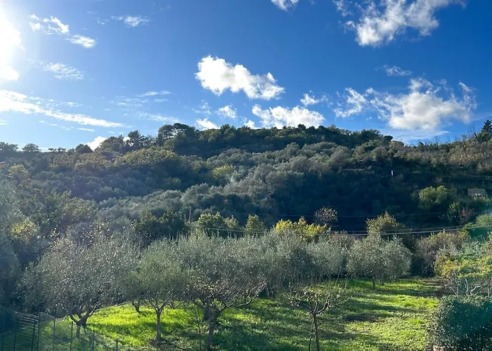 公寓 Ulivi - Comodita E Tranquillita Con Patio E Parcheggio