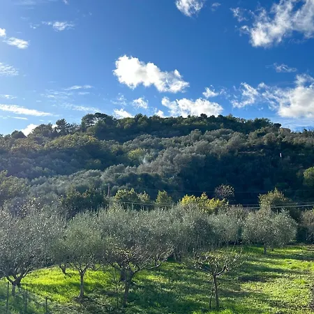 公寓 Ulivi - Comodita E Tranquillita Con Patio E Parcheggio