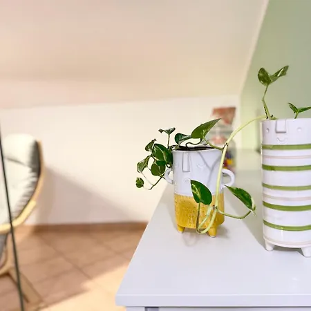 Ulivi - Charming 1 Bedroom With Garden And Parking アパート *